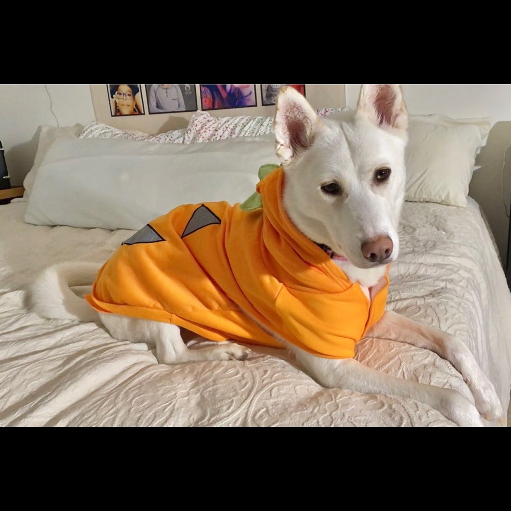 Meet your Posher, Beckyliz